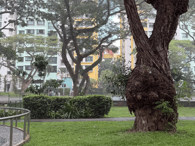 Aldo Arena Bintaro
